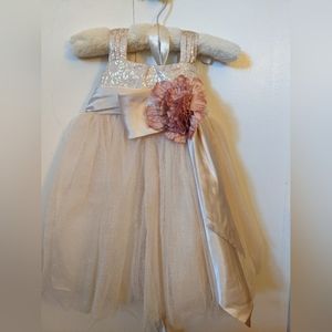 Chantilly Place Blush Flower Girl Dress NWT